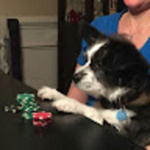 Meet your Posher, Courtney